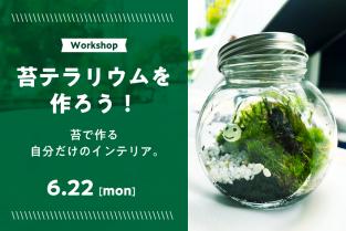 2026年6月22日（月）【苔で作る自分だけのインテリア】苔テラリウムを作ろう！